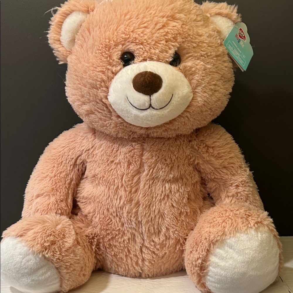 Soft brown teddy bear.